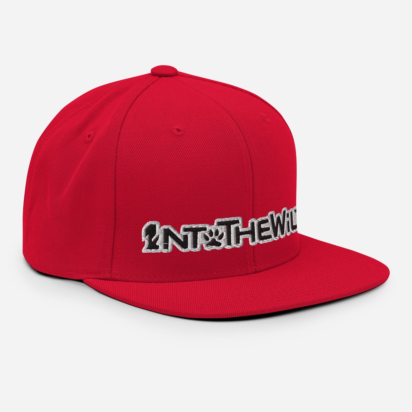 1ntothewild Snapback cap