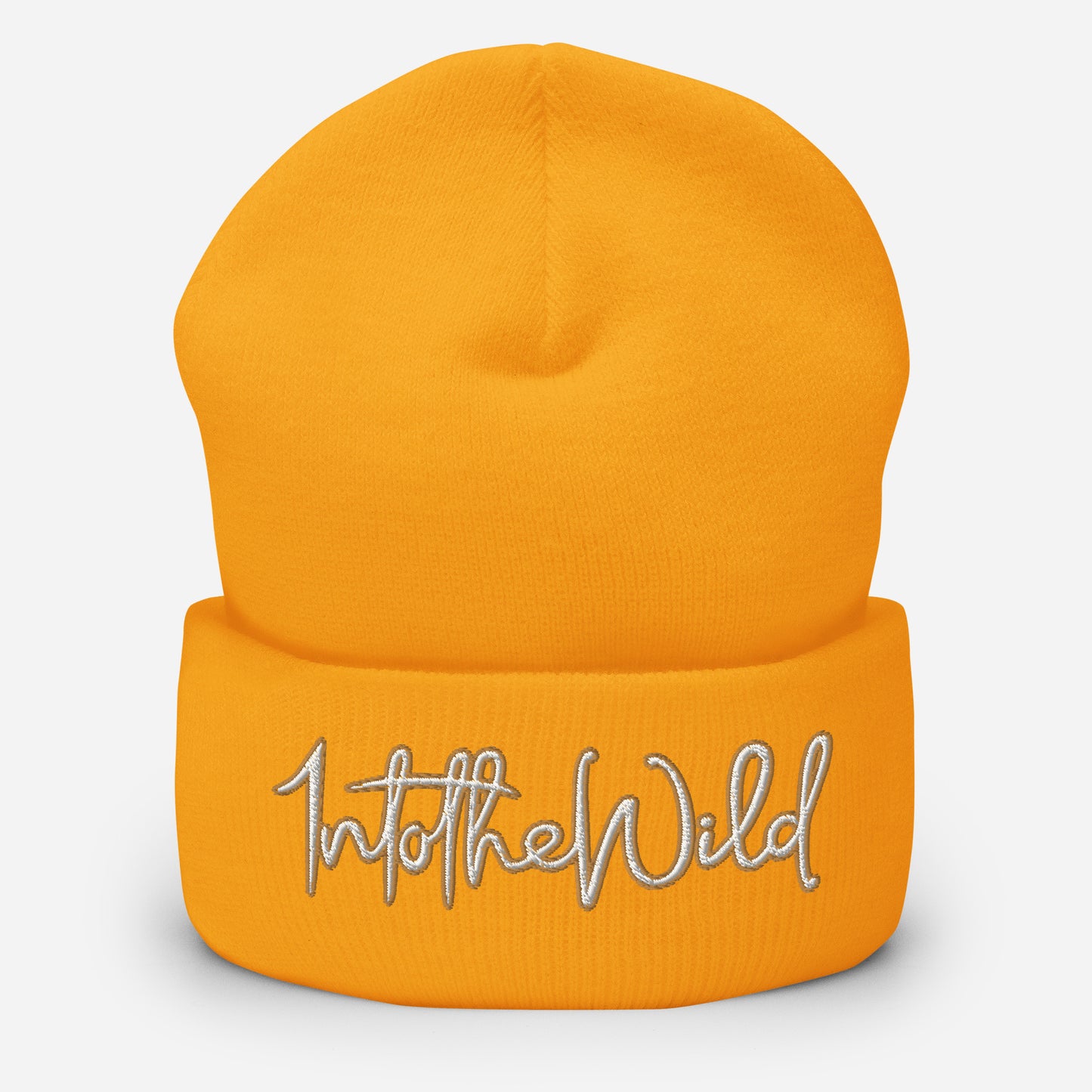 1ntothewild B beanie