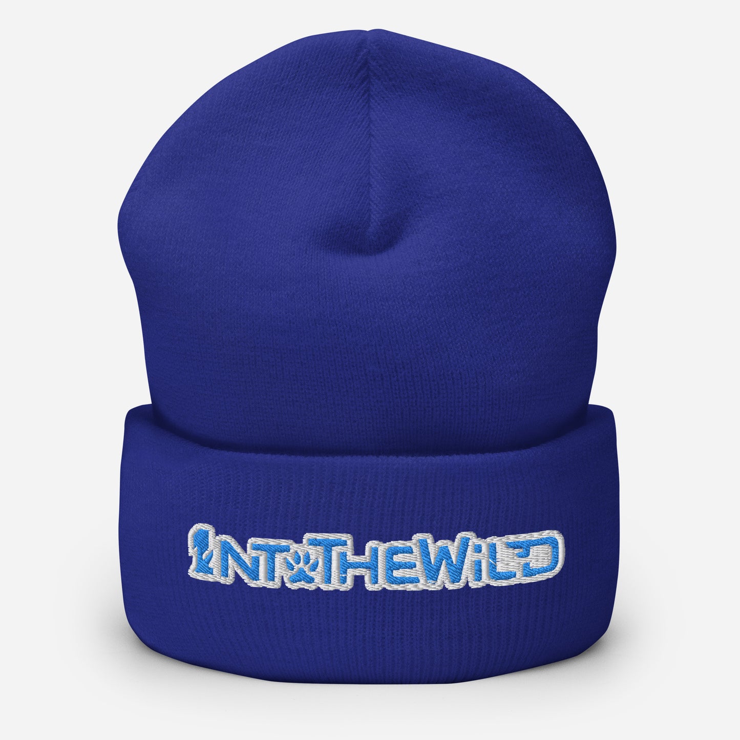 1ntothewild blue beanie