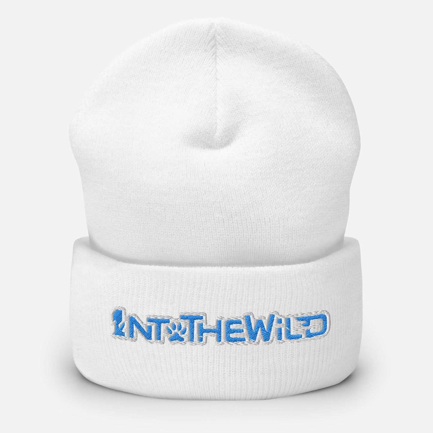 1ntothewild blue beanie