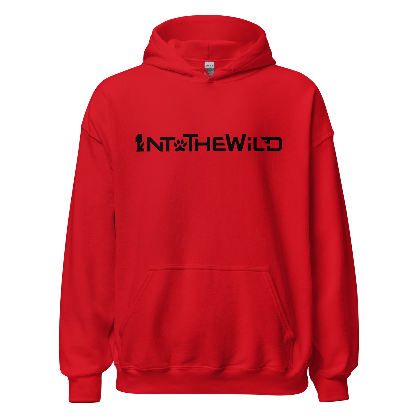 1ntothewild WB BIG Hoodie