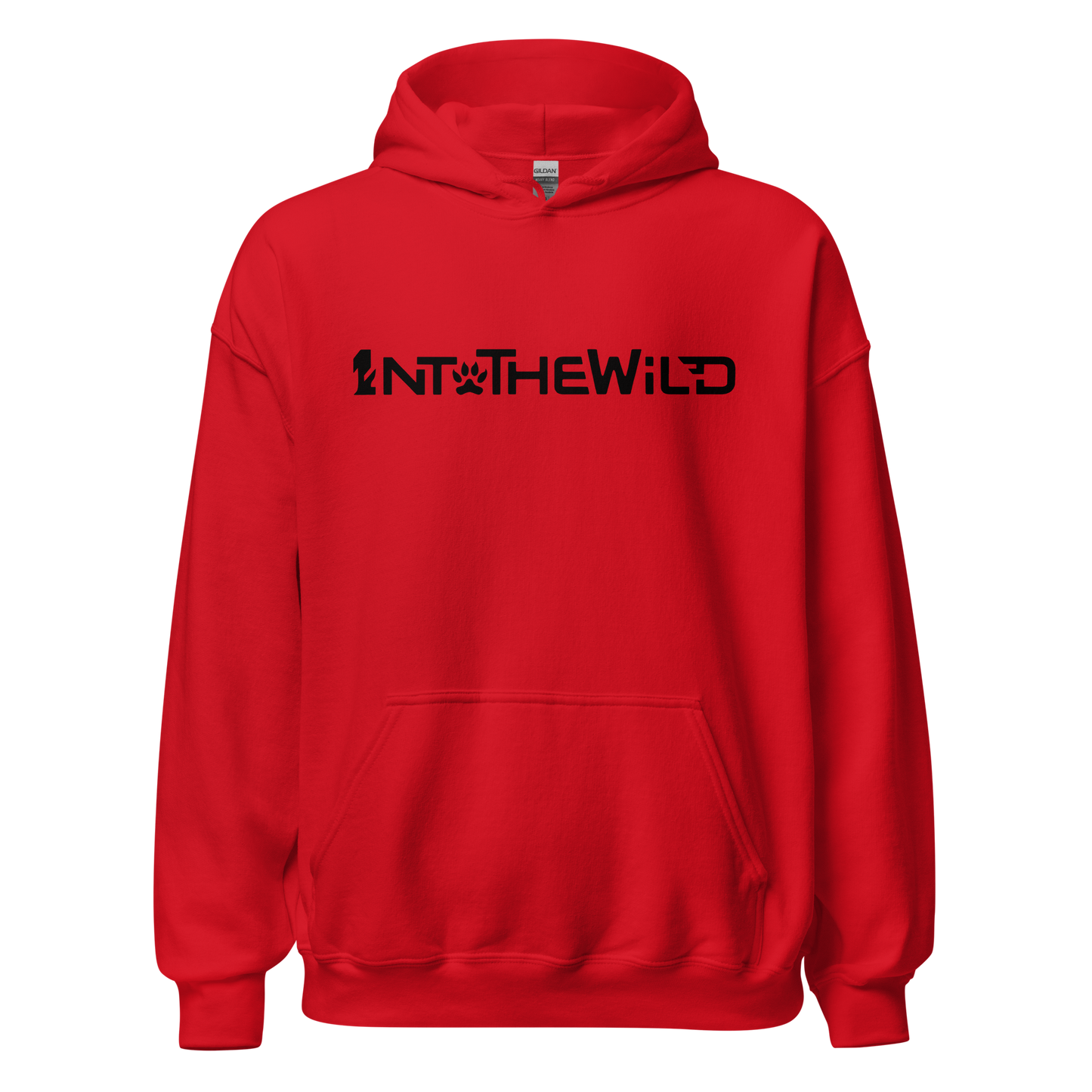 1ntothewild WB BIG Hoodie