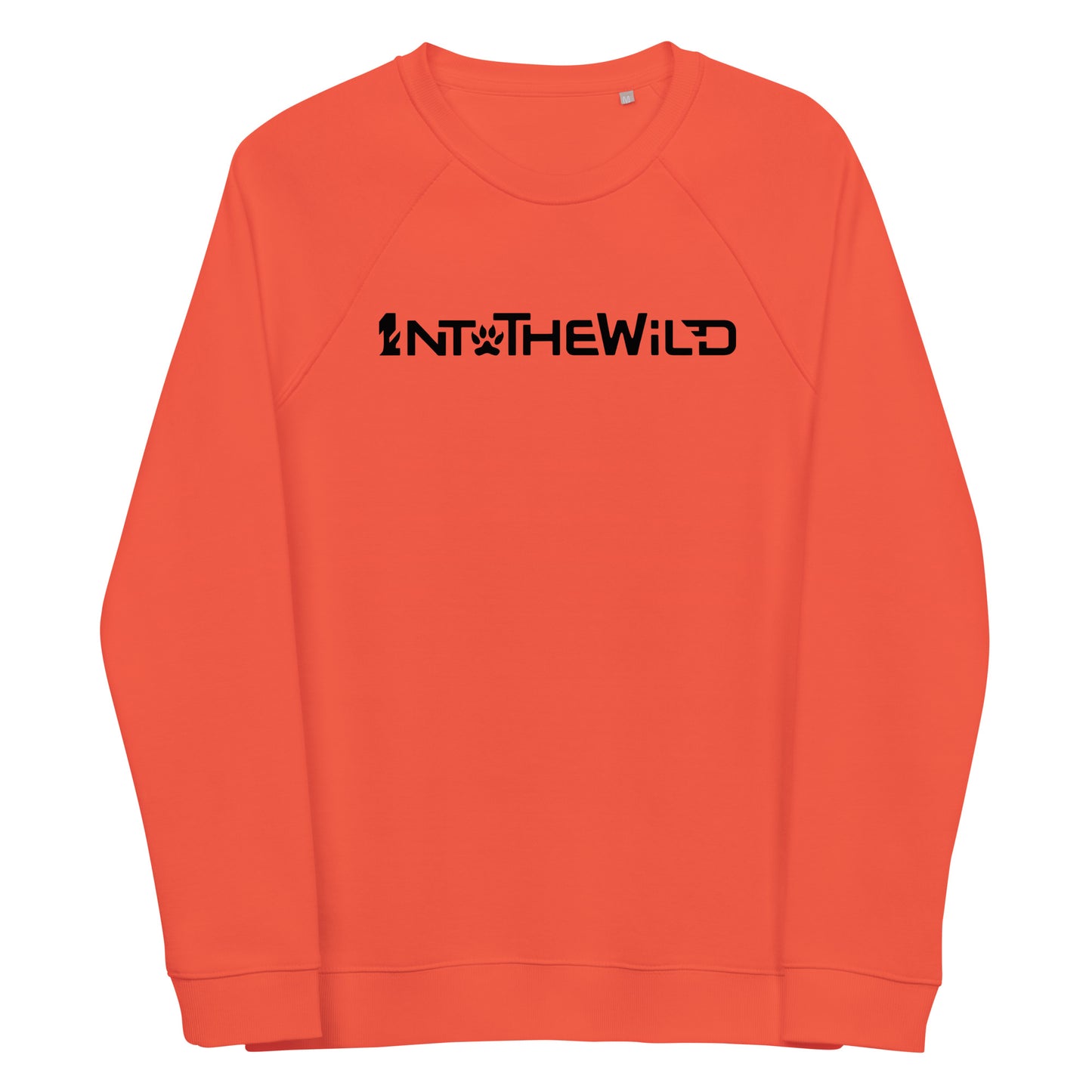 1ntothewild WB sweatshirt